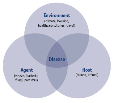 Environment, host and agent interaction