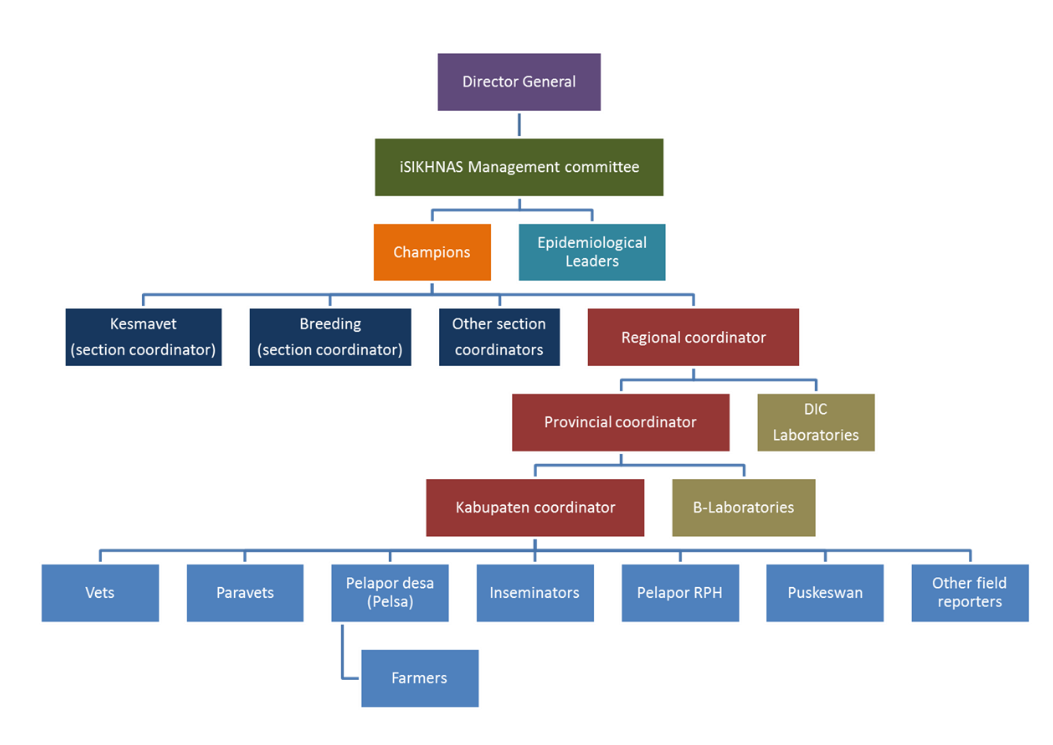 iSIKHNAS Support and Management structure