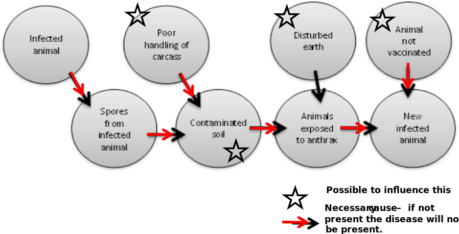 Key component causes of anthrax