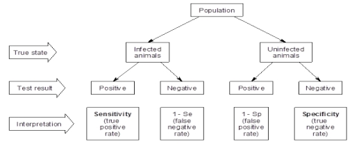 Sensitivity and specificity in relation to true disease status and diagnostic test.jpg