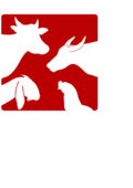 Icon logo