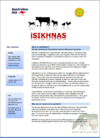 What is iSIKHNAS v5.png