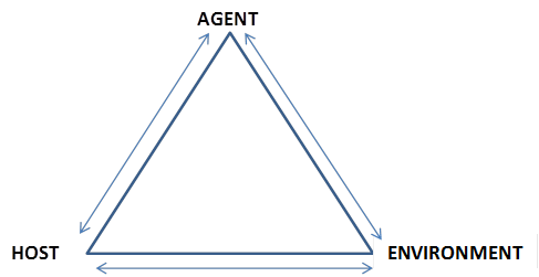 Triangle_-_agent_host_environment_ENG.svg