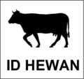 ID Hewan.png
