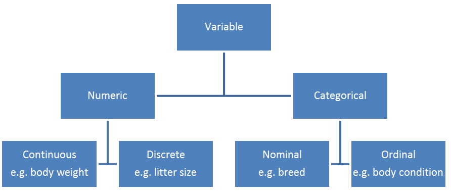 Figure 1 Types of variables that can be used in data analysis.svg